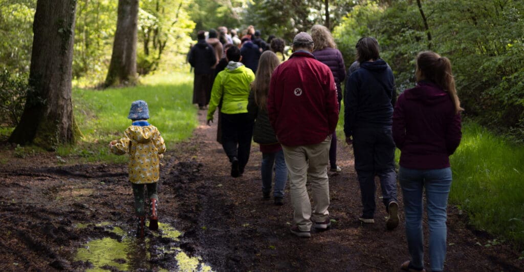 walking meditation after the rain with sun in the forest and a child playing in a puddle