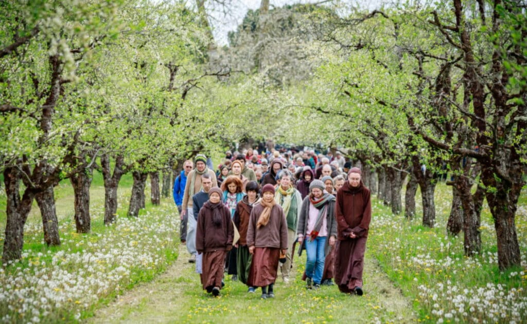 monastics and retreatants doing a walking meditation in the uk countryside